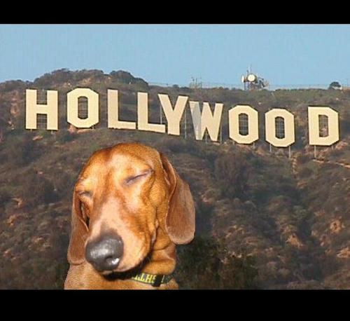 index.php/fa/5088/0/