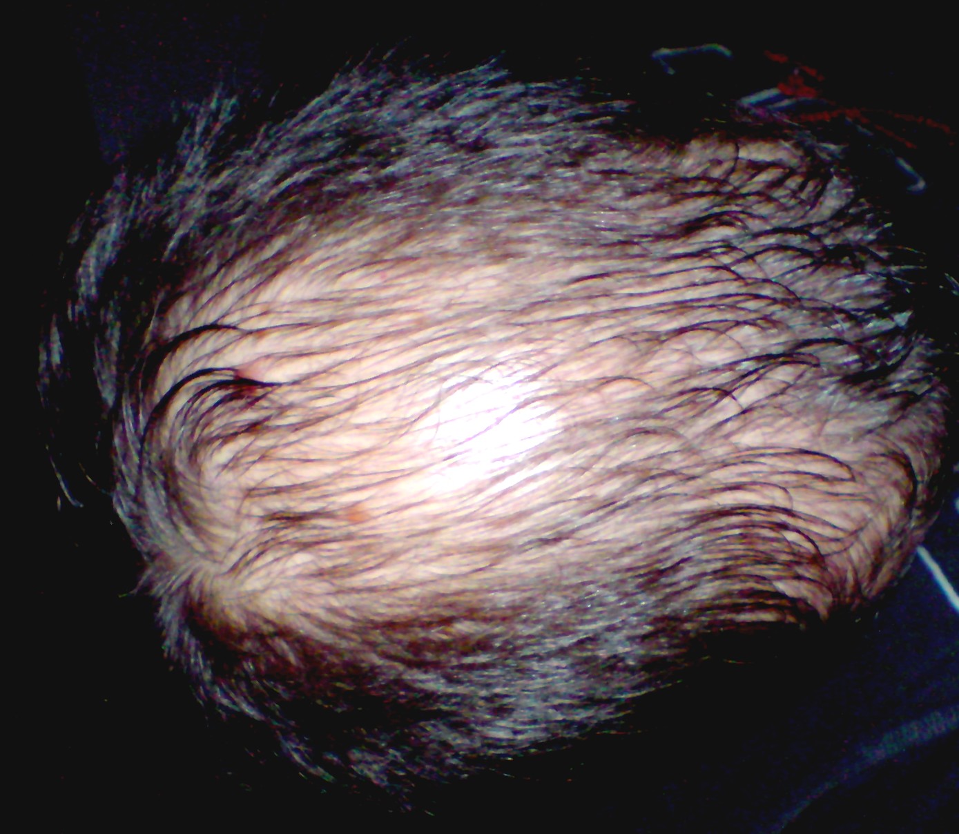 index.php/fa/5355/0/