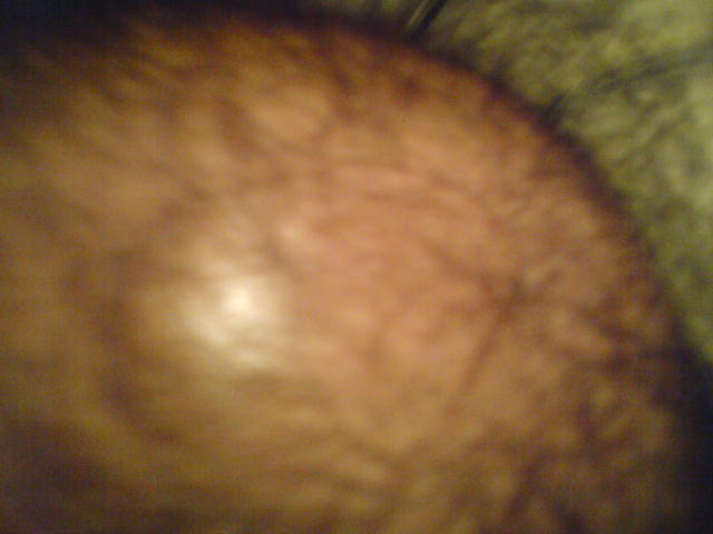 index.php/fa/5382/0/