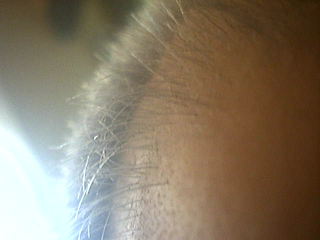 index.php/fa/5459/0/