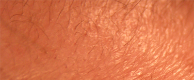 index.php/fa/5630/0/