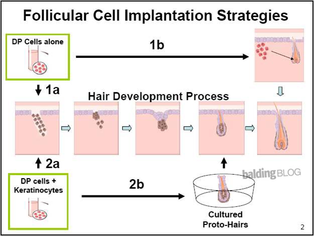 index.php/fa/5716/0/