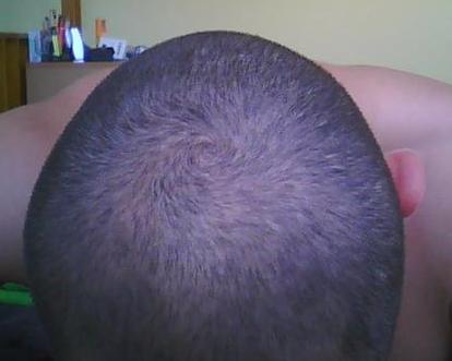 index.php/fa/5955/0/