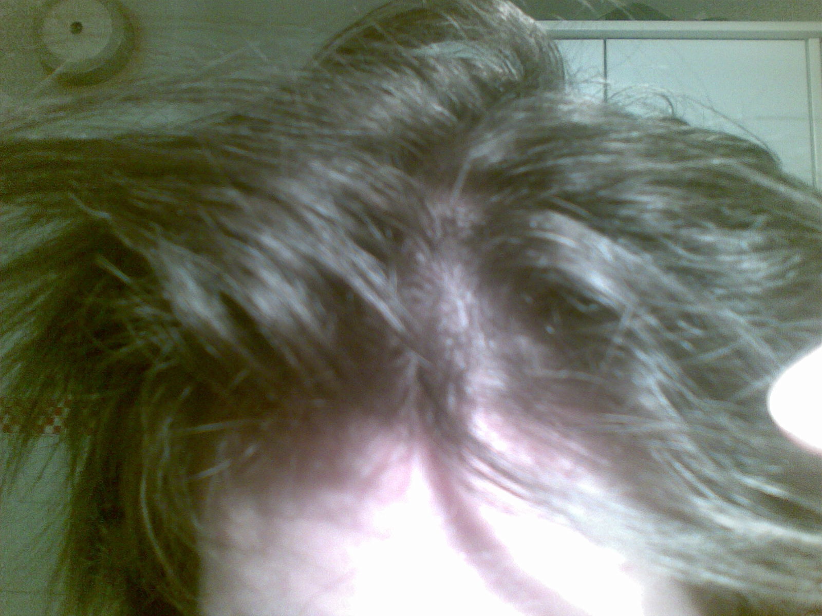 index.php/fa/6167/0/