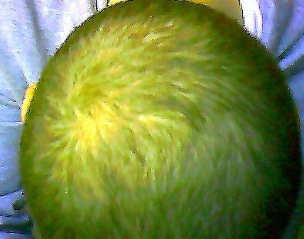 index.php/fa/6452/0/