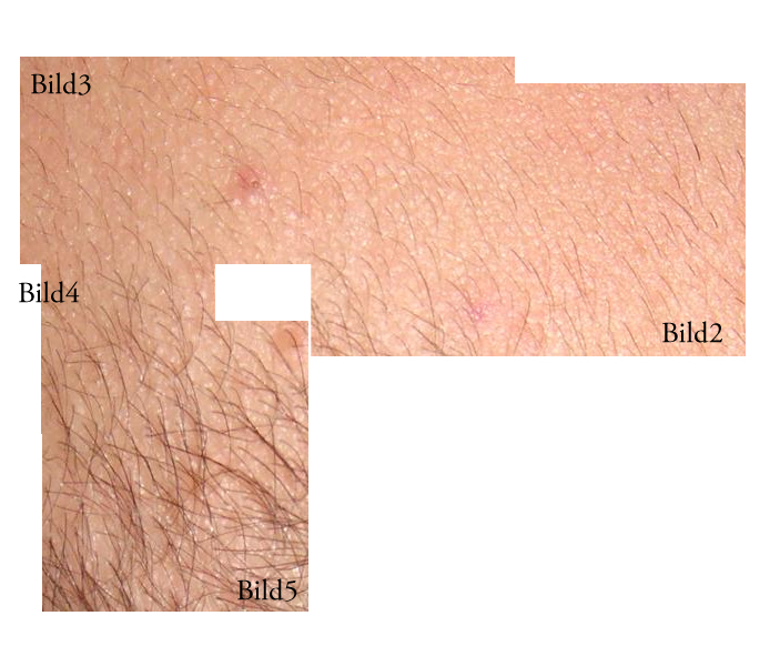 index.php/fa/6453/0/