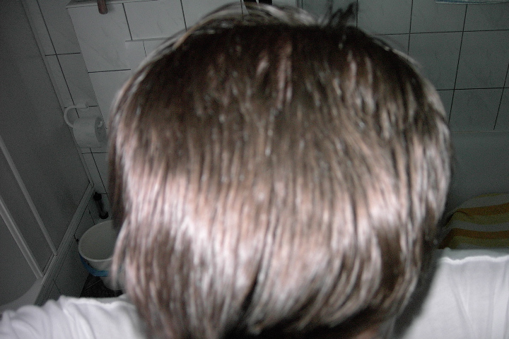 index.php/fa/6835/0/