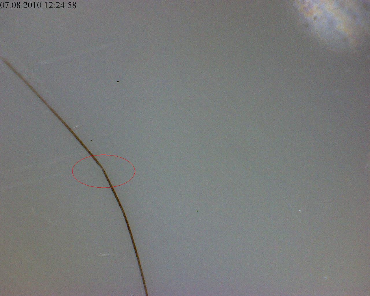 index.php/fa/7027/0/