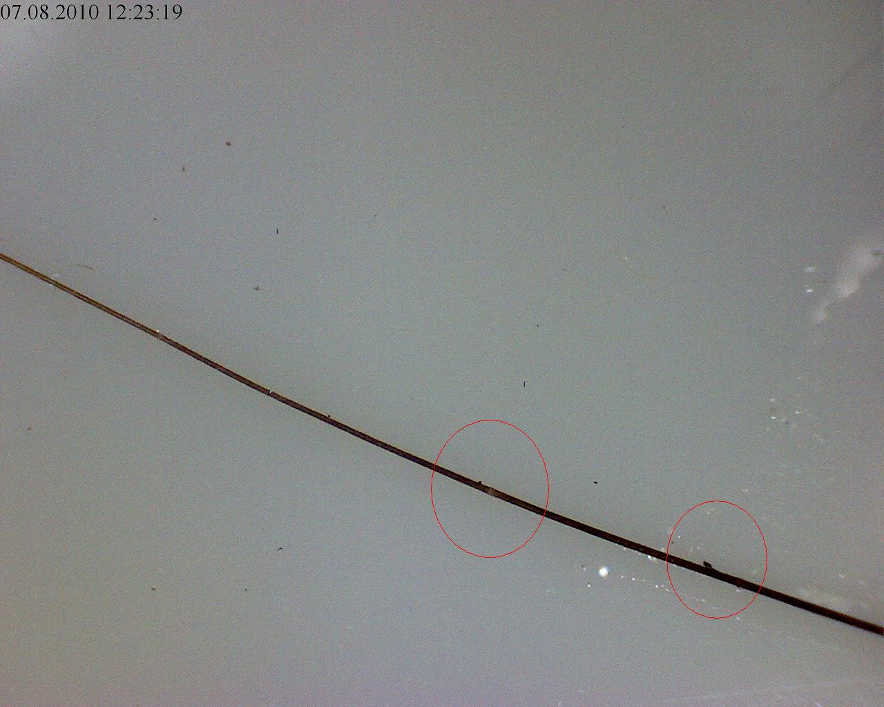 index.php/fa/7028/0/