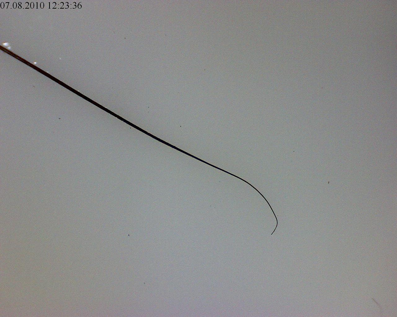 index.php/fa/7029/0/