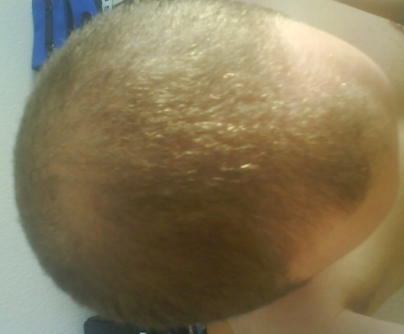 index.php/fa/7446/0/