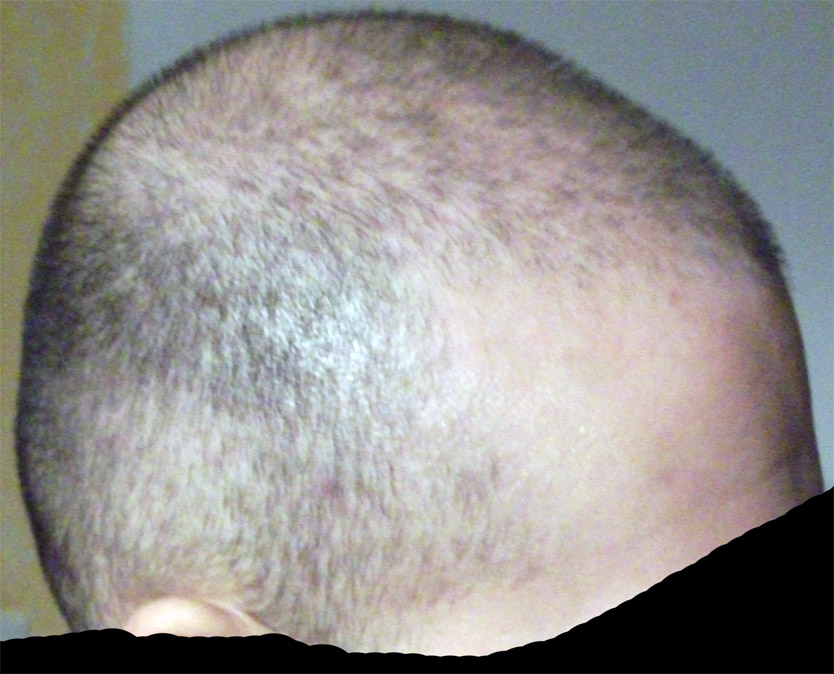 index.php/fa/7453/0/