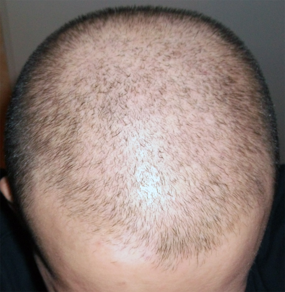 index.php/fa/7455/0/