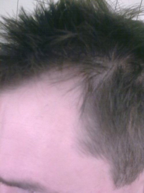 index.php/fa/8320/0/