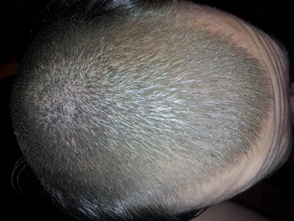 index.php/fa/8707/0/