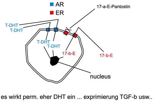index.php/fa/8875/0/