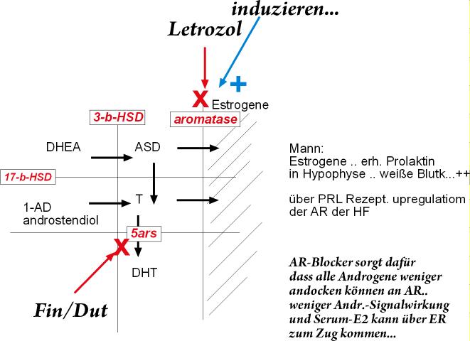 index.php/fa/8960/0/