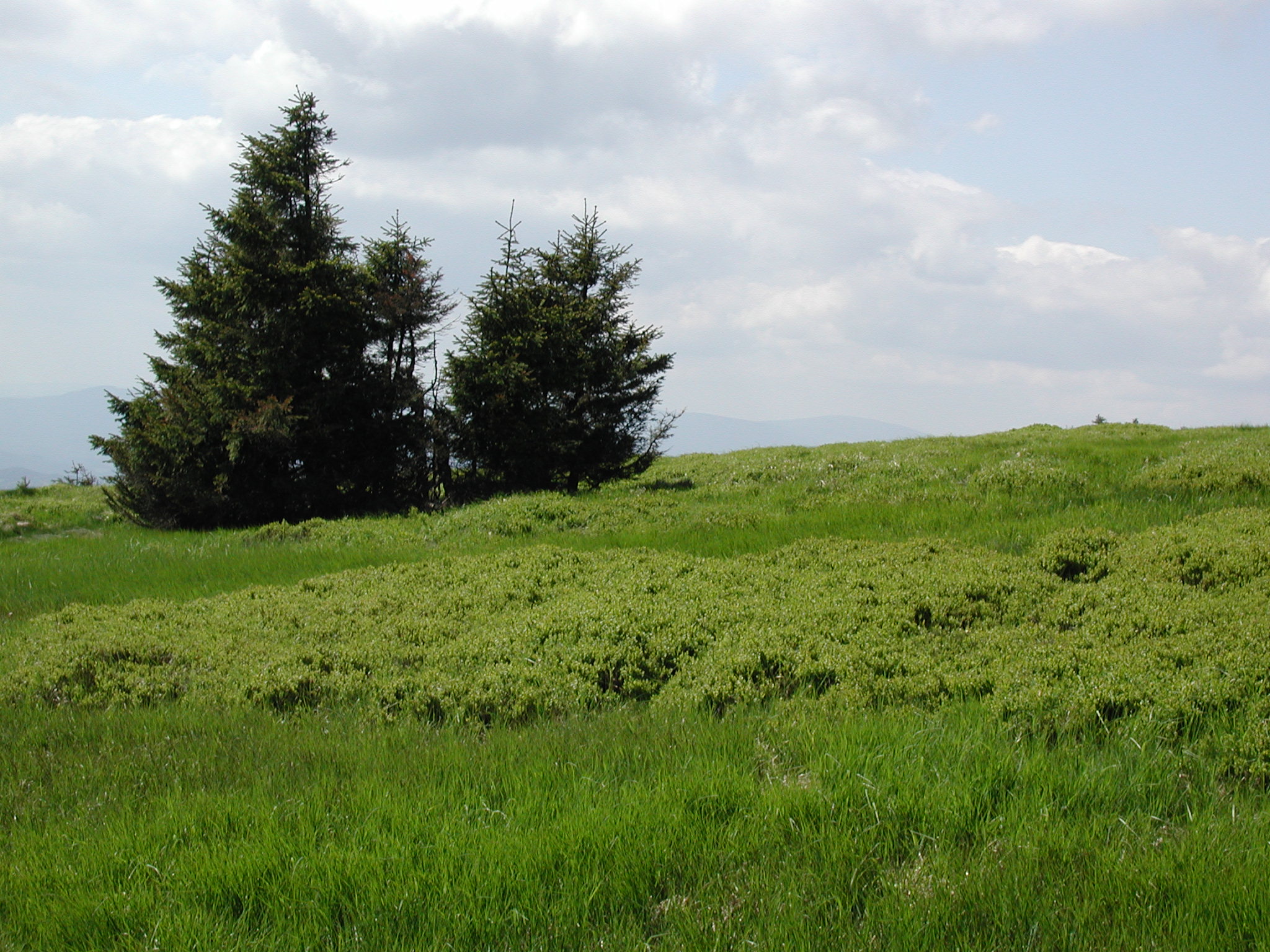 index.php/fa/9600/0/