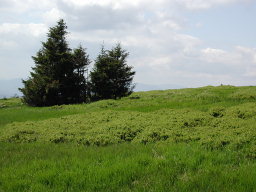 index.php/fa/9601/0/