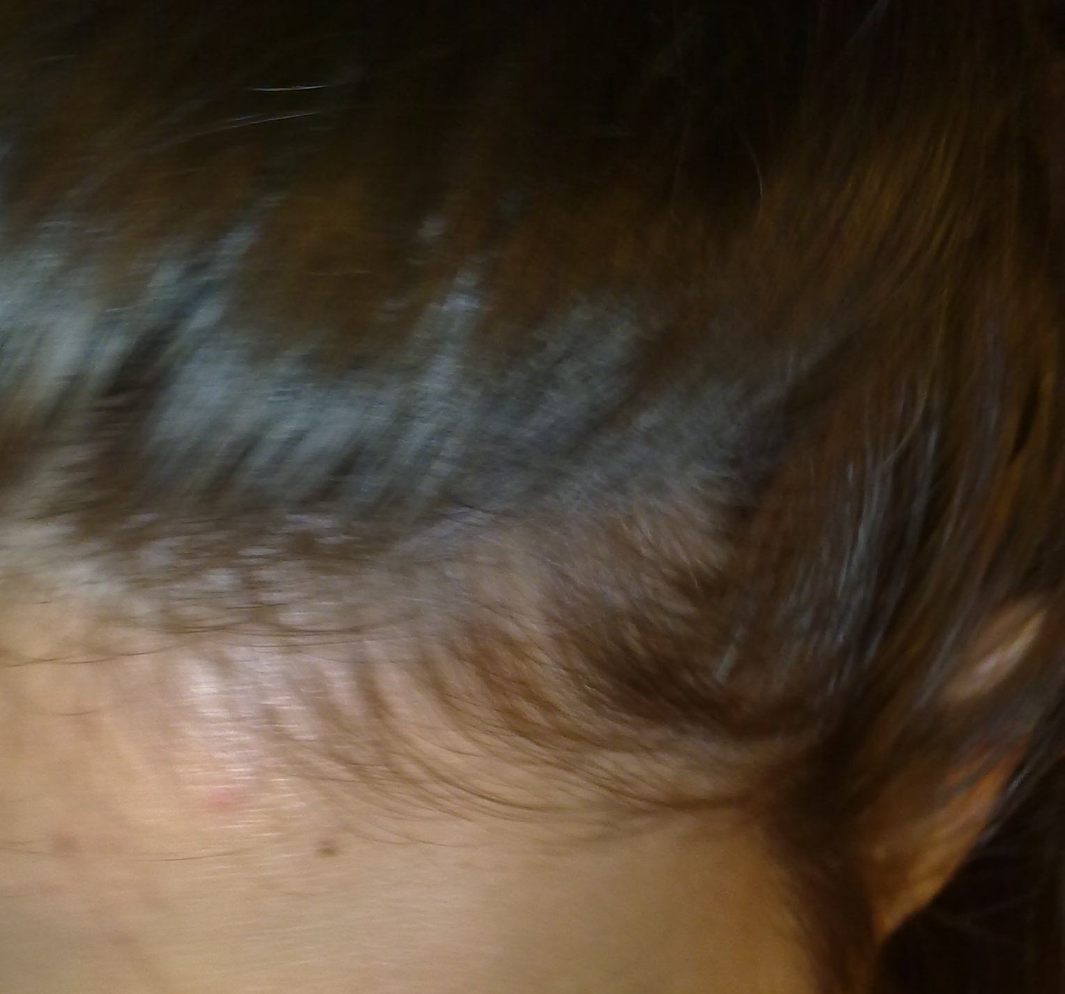 index.php/fa/9706/0/