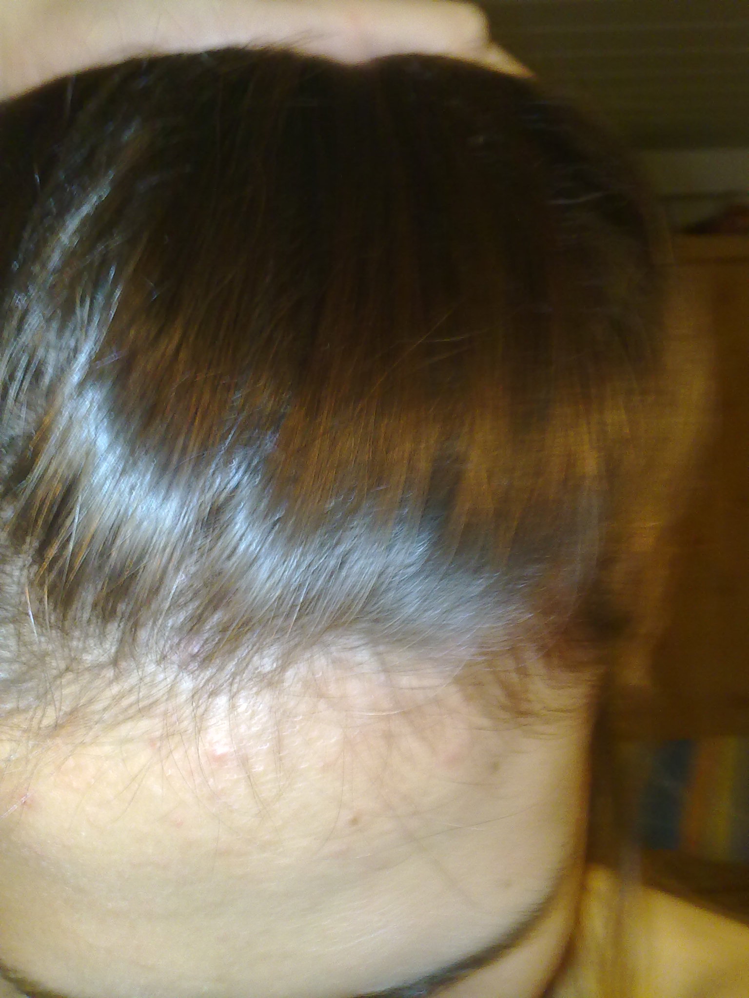 index.php/fa/9708/0/