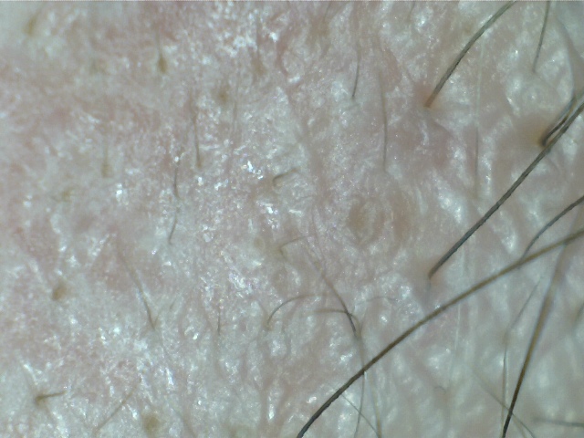 index.php/fa/9738/0/