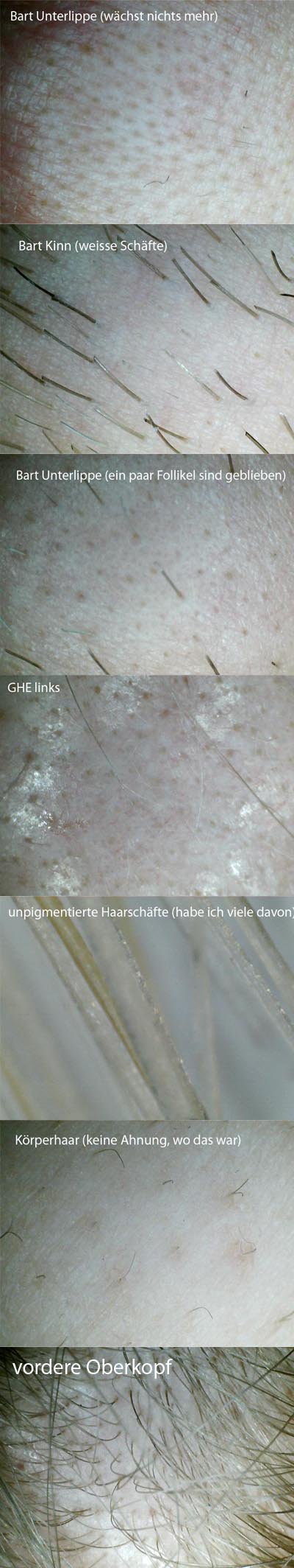 index.php/fa/9739/0/