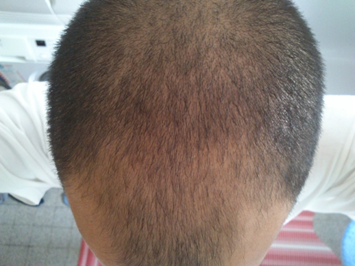 index.php/fa/9798/0/