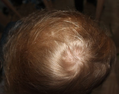 index.php/fa/9927/0/