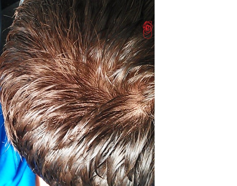 index.php/fa/9950/0/