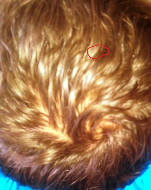 index.php/fa/9955/0/