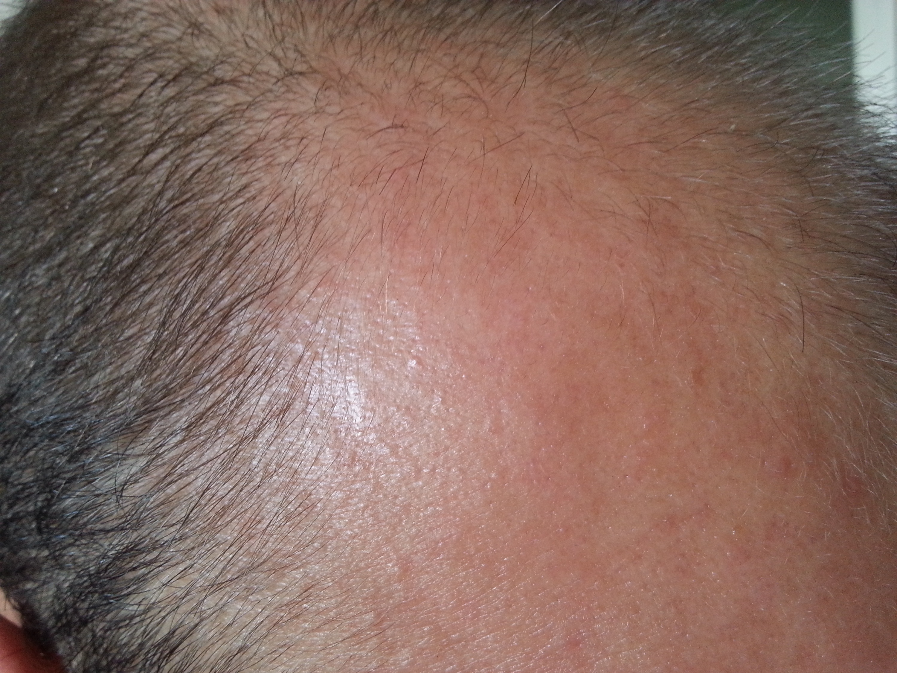 index.php/fa/9998/0/