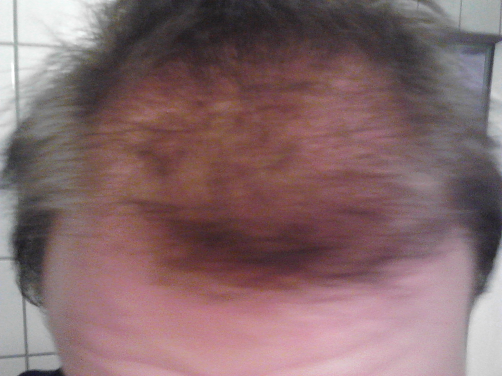 index.php?t=getfile&id=10007&private=0